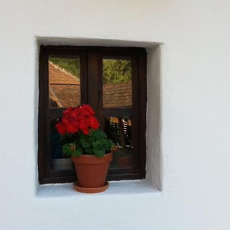 Zempléni Pitvaros Pihenő Telkibánya Exterior foto